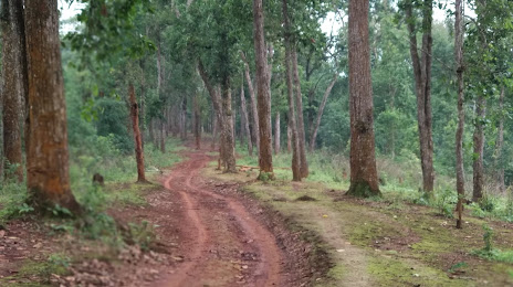 Garbhanga Forest, 