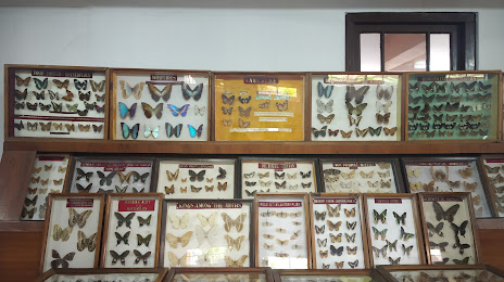 Wankhar Entomology Museum, 