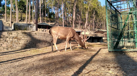 Mrig Vihar Zoo (Baldhauti), Almora