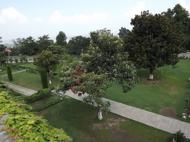 Jawaharlal Nehru Memorial Botanical Garden, Σριναγκάρ