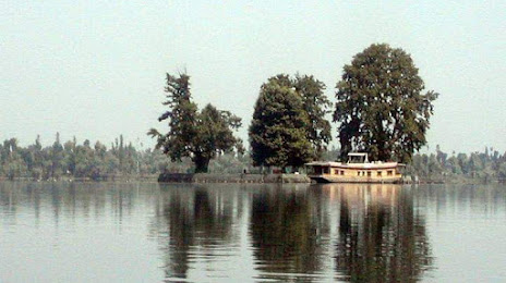 Char Chinar Dal lake, Σριναγκάρ