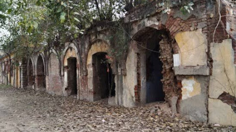 Lodhi Fort ( Purana Qila), 