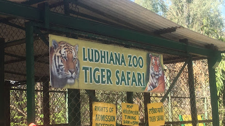 Tiger Safari, 