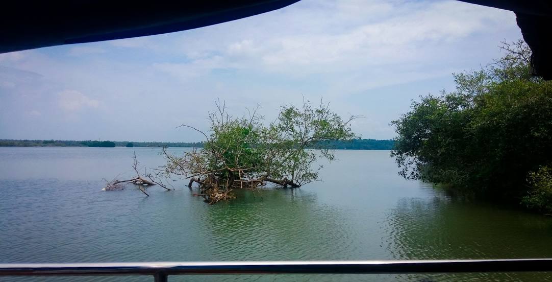 Ashtamudi Lake, 