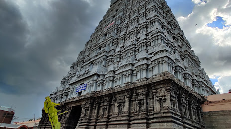 Raja Gopuram, Tiruvannamalai