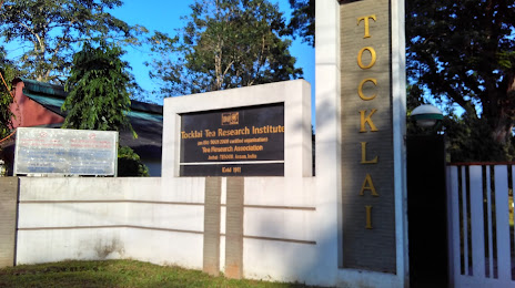 Tocklai Tea Research Institute, Jorhat