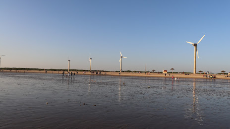Mandvi Beach Windfarm, Mandvi