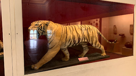 Alwar Museum, 