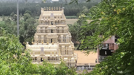 Thiruvahindrapuram Devanatha Swamy Temple, 