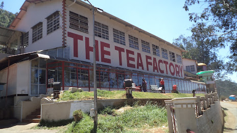 The Tea Factory & The Tea Museum, Ooty