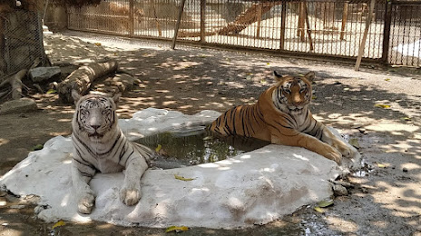 Sakkarbaug Zoological Park, Ζουναγκάντ