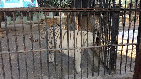 Sakkarbag Zoo, 