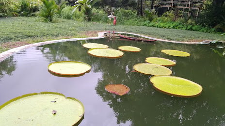 Calicut University Botanical Garden, 