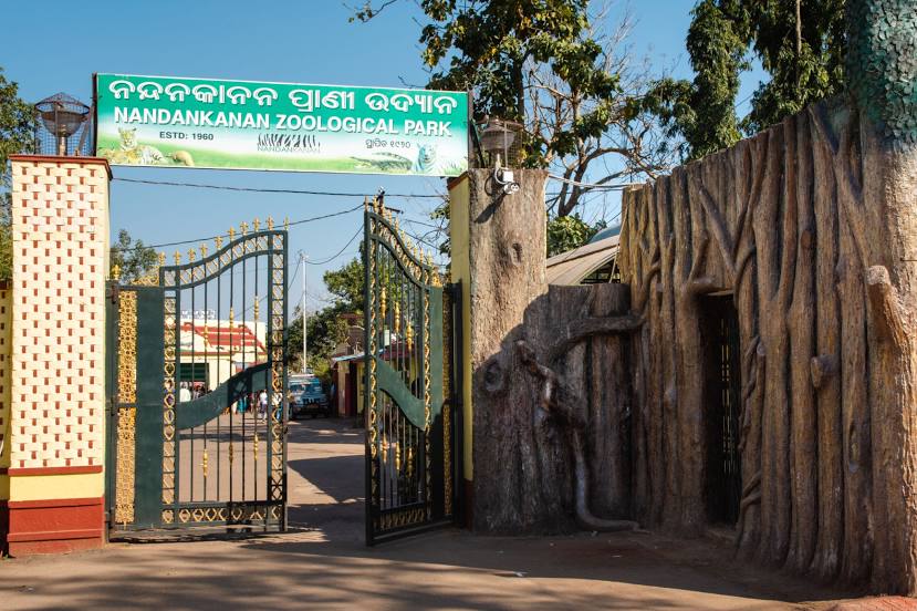 Nandankanan Zoological Park, Cuttack