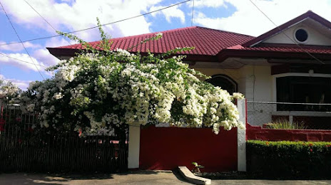 Bougainvillea Garden, 