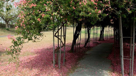 Bougainvillea Park, 