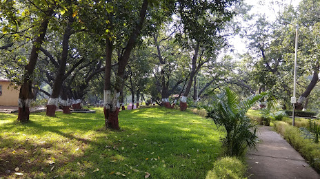Mango Garden Belapur, Νάβι Μουμπάι