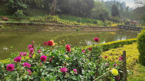 The Blossom Hydel Park, Munnar