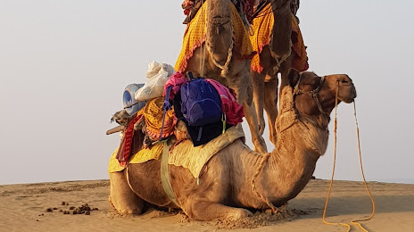 The Real Deal Rajasthan Camel Safari, 