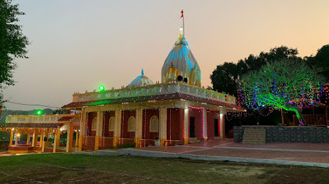 श्री देवी भद्रकाली मंदिर Bhadrakali Mandir, 