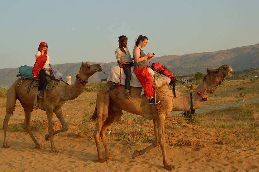 Pushkar Adventure Camp & Camel Safari, 