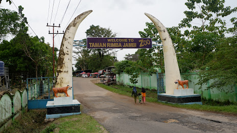 Taman Rimba Zoo Jambi, Τζάμπι