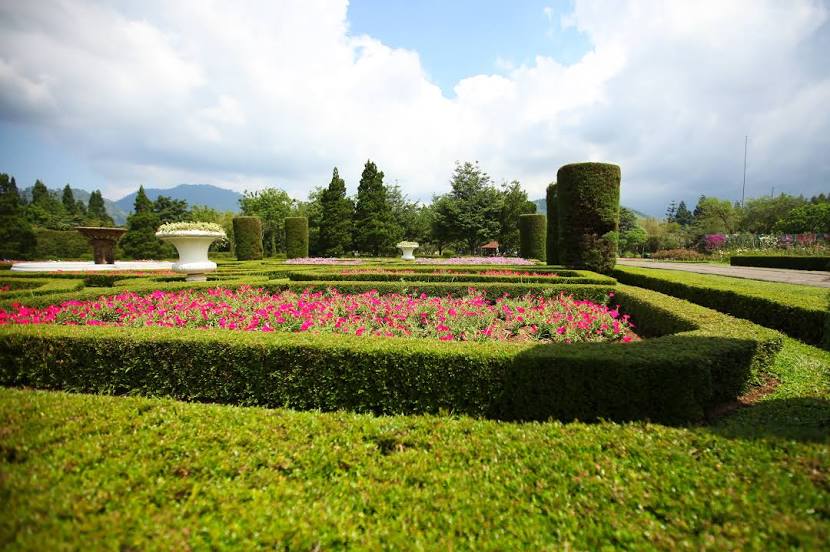 Bogor Botanical Gardens (Kebun Raya Bogor), Bogor