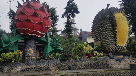 Kebun Durian Warso Farm, 