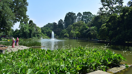 GLOW - Kebun Raya Bogor (Danau Gunting Kebun Raya Bogor), 
