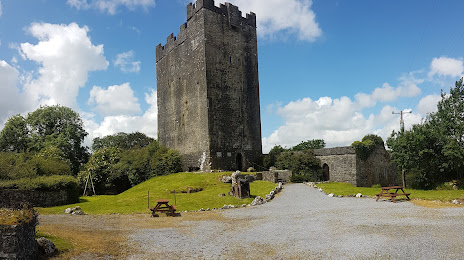 Dysert O'Dea Castle and Archaeology Centre, Ennis