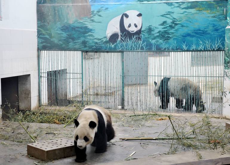 Taiyuan Zoo, 타이위안 시