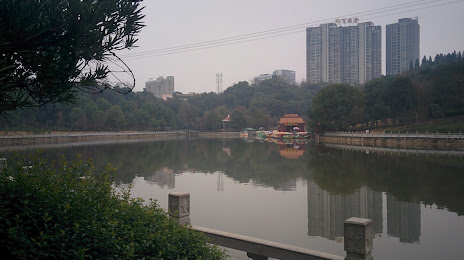 Shima Park, 뤄디 시