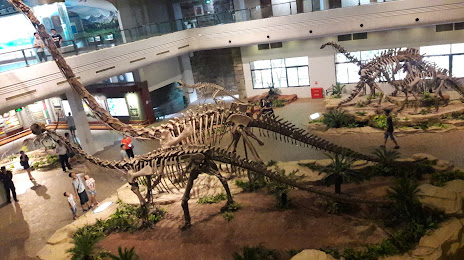 Zigong Dinosaur Museum, 쯔궁 시