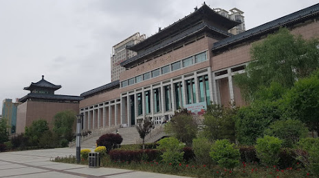 Qinghai Museum, Ζινίνγκ