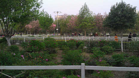 Caozhou Peony Garden, 허쩌 시