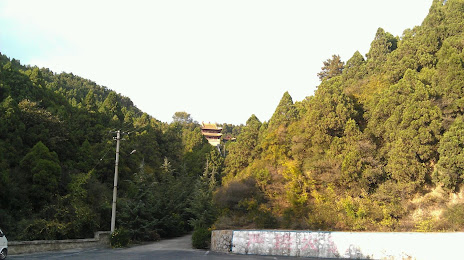Kaihua Temple, 진청 시
