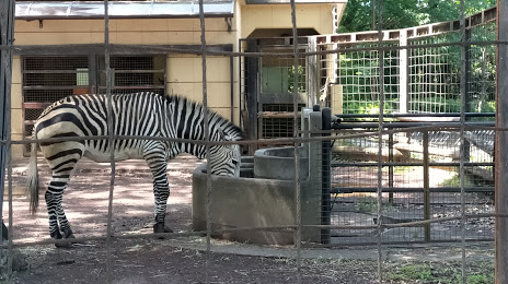 Yumemigasaki Zoological Park, 