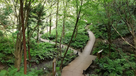 Kanazawa Natural Park, 