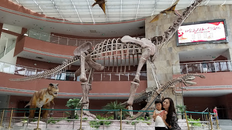 河源恐龙博物馆, 허위안 시