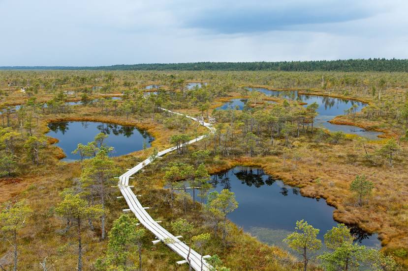 Ķemeri National Park, Юрмала