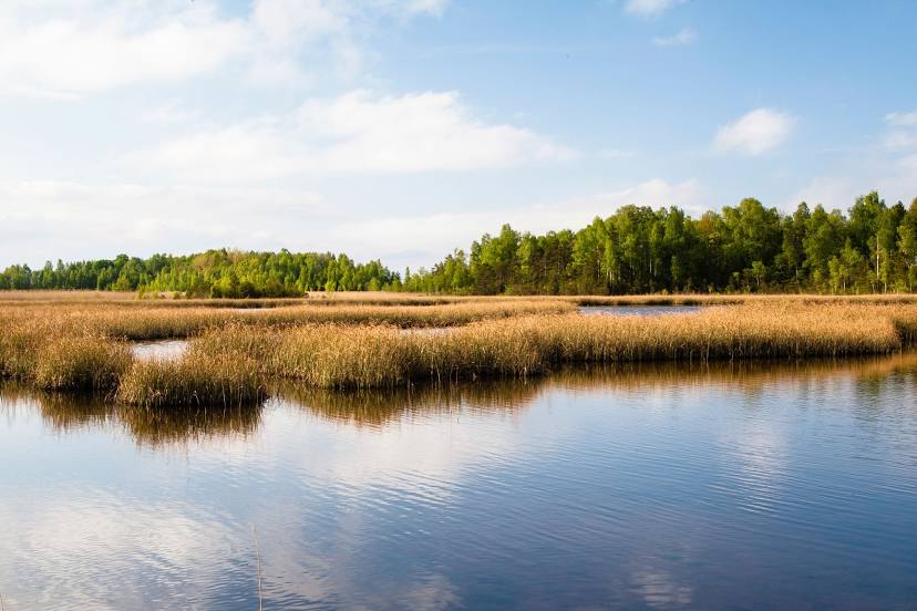 Lake Kaņieris, Юрмала