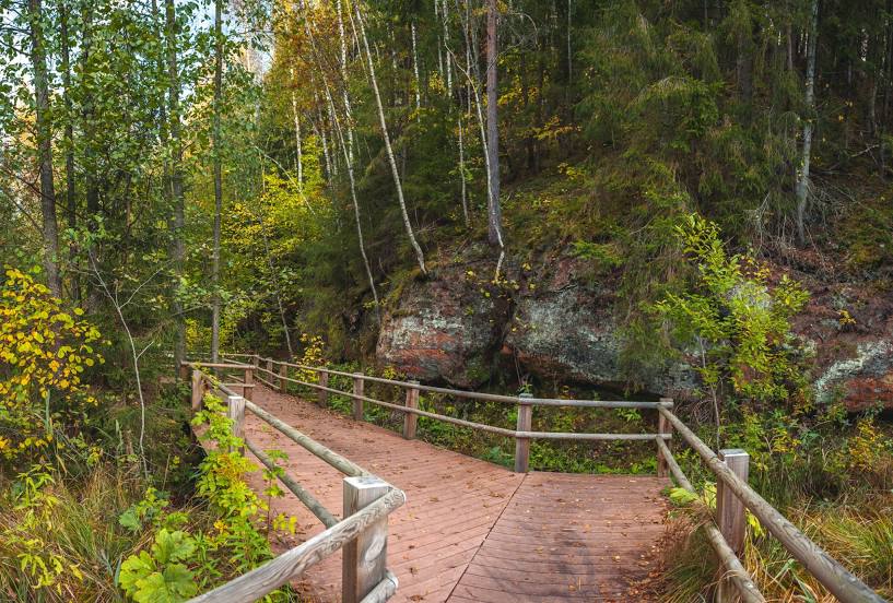 Cirulisi Nature Trails, Cēsis