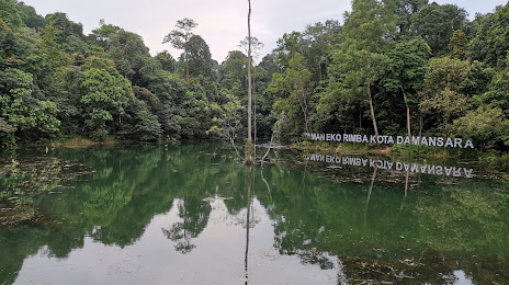 Kota Damansara Community Forest Reserve (Taman Rimba Komuniti Kota Damansara), Σαχ Αλάμ