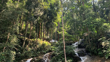 Taman Eko Rimba Kanching Templer's Park Jungle Waterfall, 