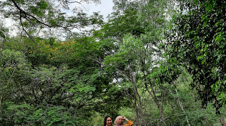 Paya Indah Discovery Wetlands, Banting