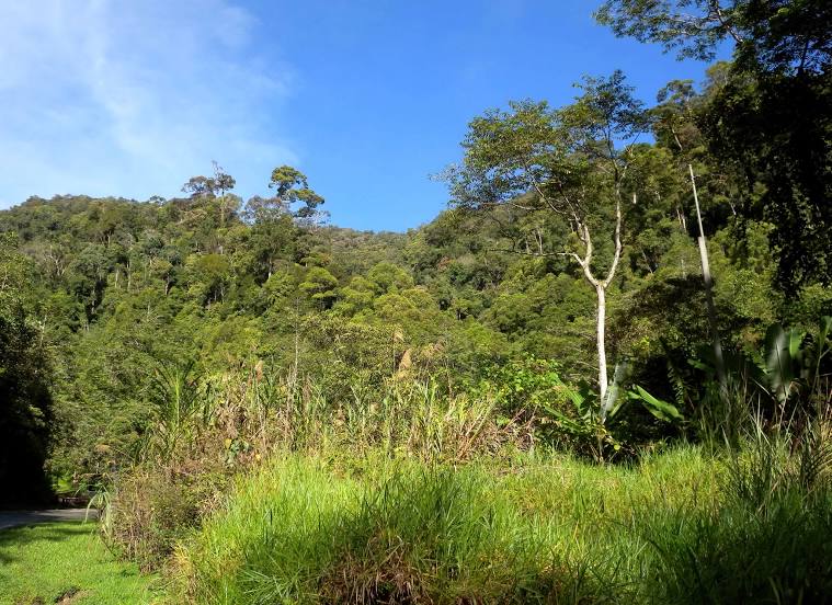 Crocker Range National Park (Taman Negara Banjaran Crocker), Beaufort