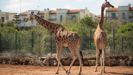 Zoo Sindibad, Casablanca