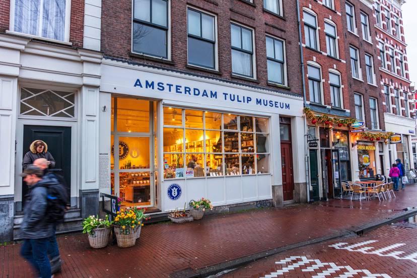 Amsterdam Tulip Museum, 