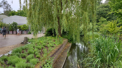 Hortus Botanicus TU Delft (Botanische Tuin TU Delft), 
