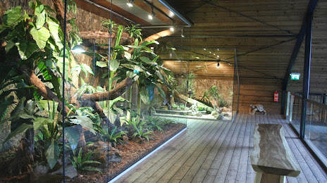 Reptile House Earth (Reptielenhuis De Aarde Breda | dierentuin, kinderfeestje & binnen uitje), Breda